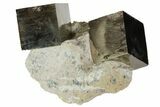 Natural Pyrite Cubes In Rock From Spain #82095-1